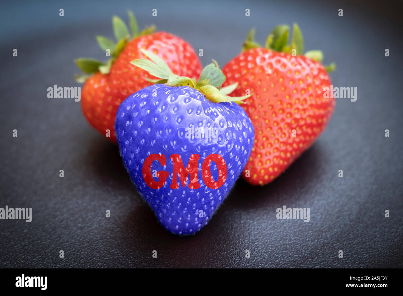 Omg strawberrie modificados genéticamente sobre la orgánica contra un fondo oscuro. Foto de stock