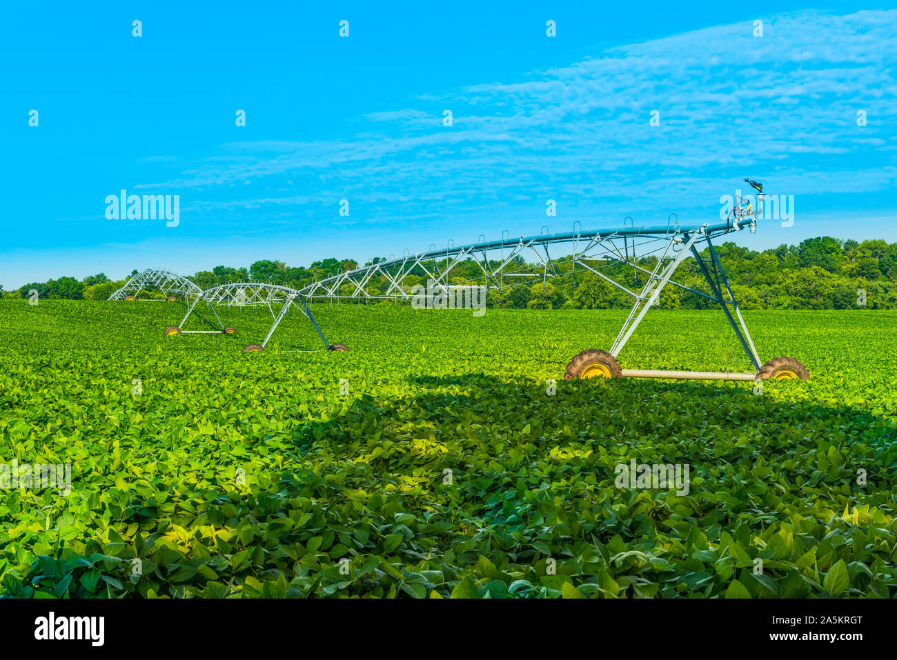 Sistema de riego en un campo. Foto de stock