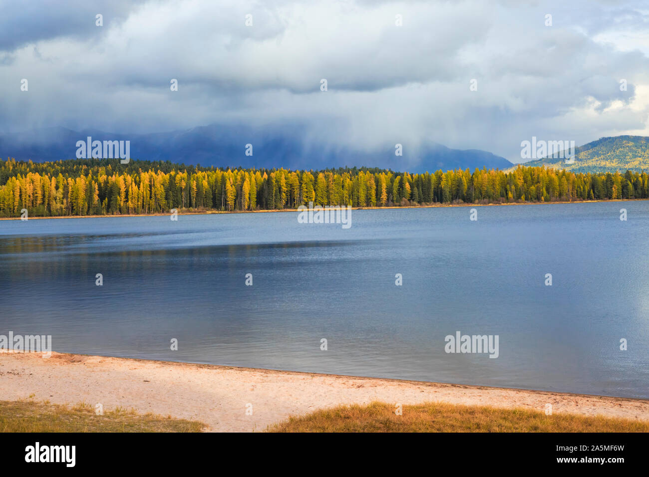 Lago seeley lago de los cisnes fotografías e imágenes de alta