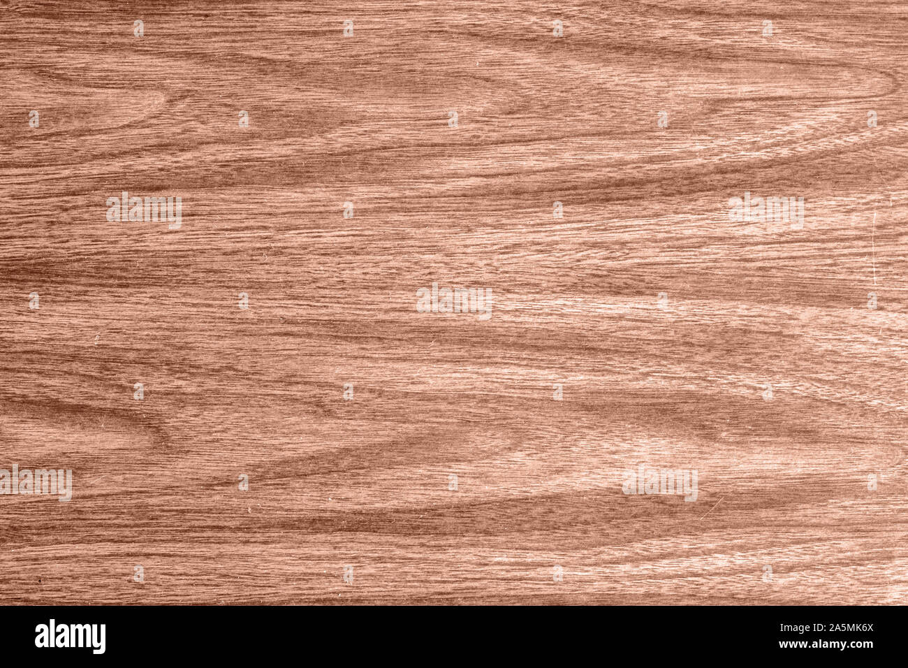 Textura del fondo, con patrón de madera contrachapada en superficie patrón natural, madera dura Foto de stock