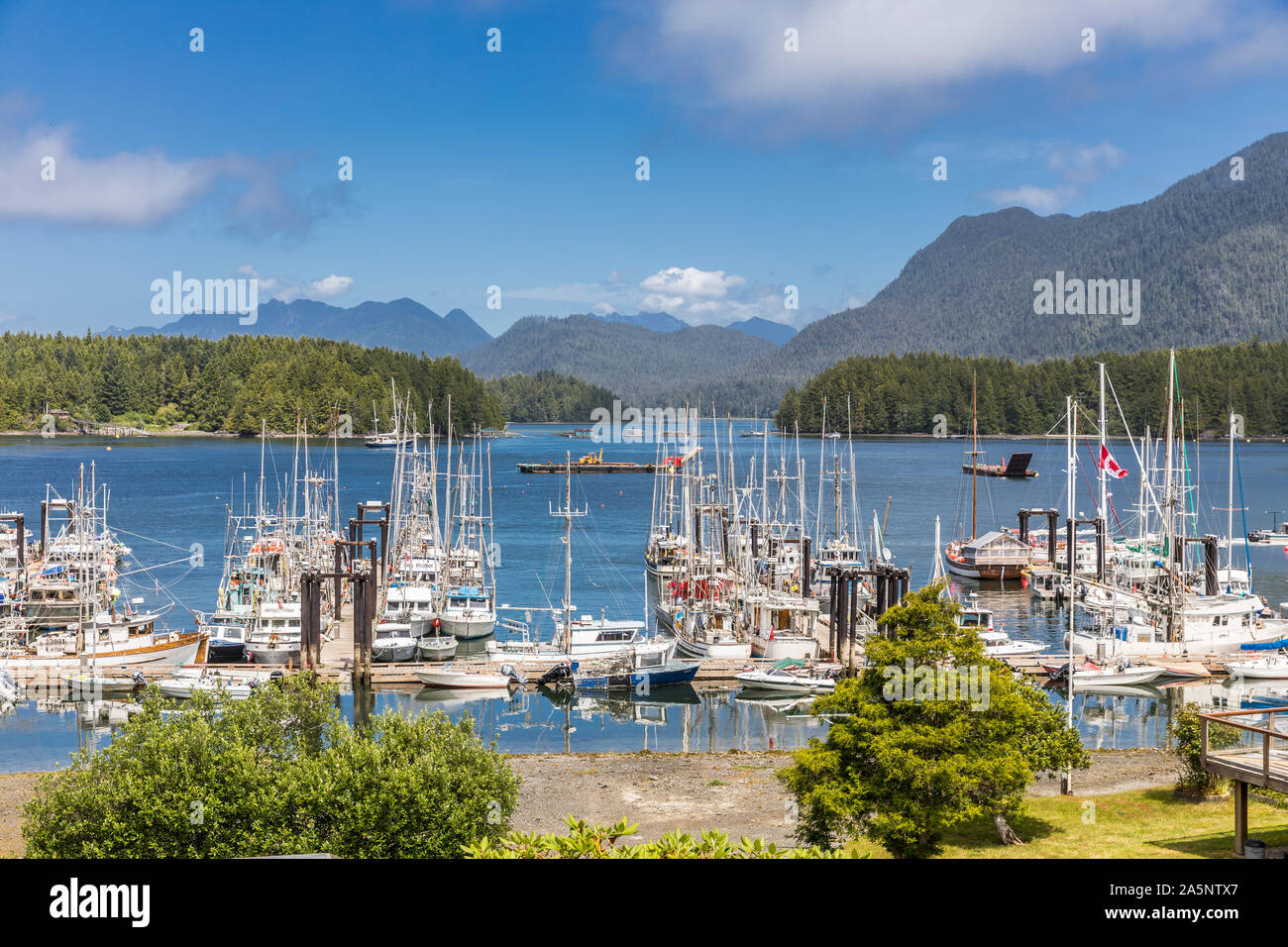 Harbour en Tofino, Vancouver Island, Canadá Foto de stock