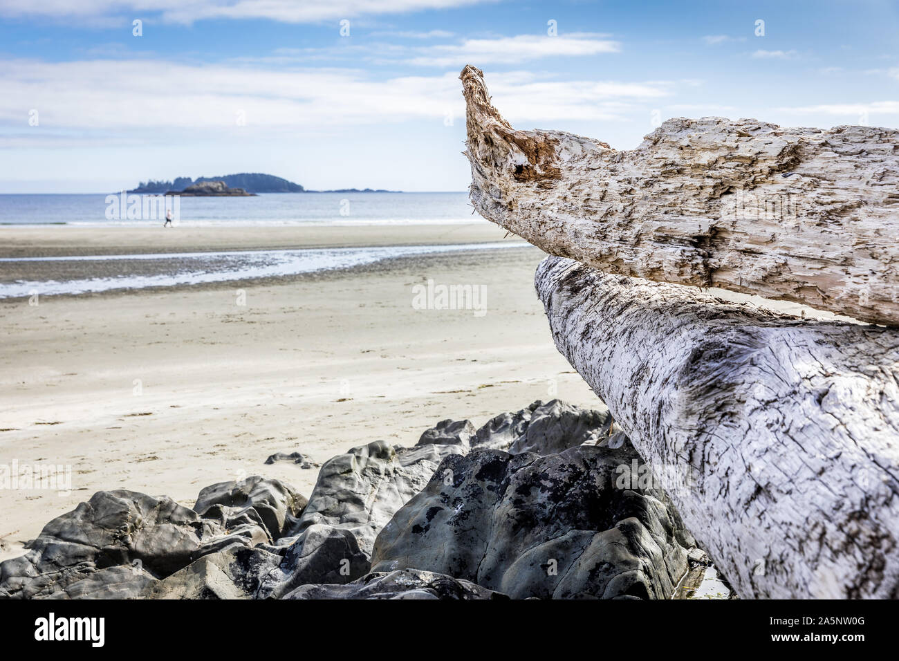 Driftwood deterioradas por la intemperie y rocas en una playa cerca de Tofino, Vancouver Island, British Columbia, Canadá Foto de stock