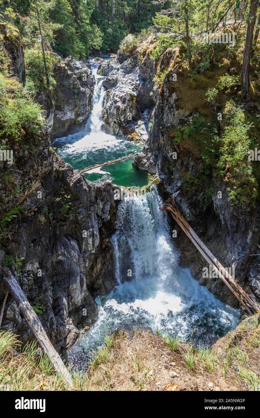 Poco Qualicum Falls Provincial Park, la isla de Vancouver, British Columbia, Canadá Foto de stock