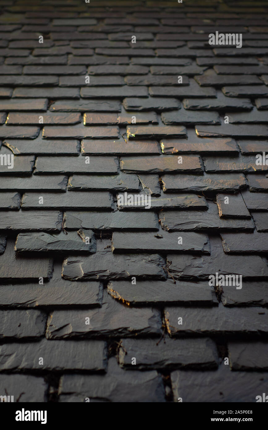 Baldosas de pizarra tradicional en el techo de una casa histórica en Glasgow Scotland Reino Unido Foto de stock