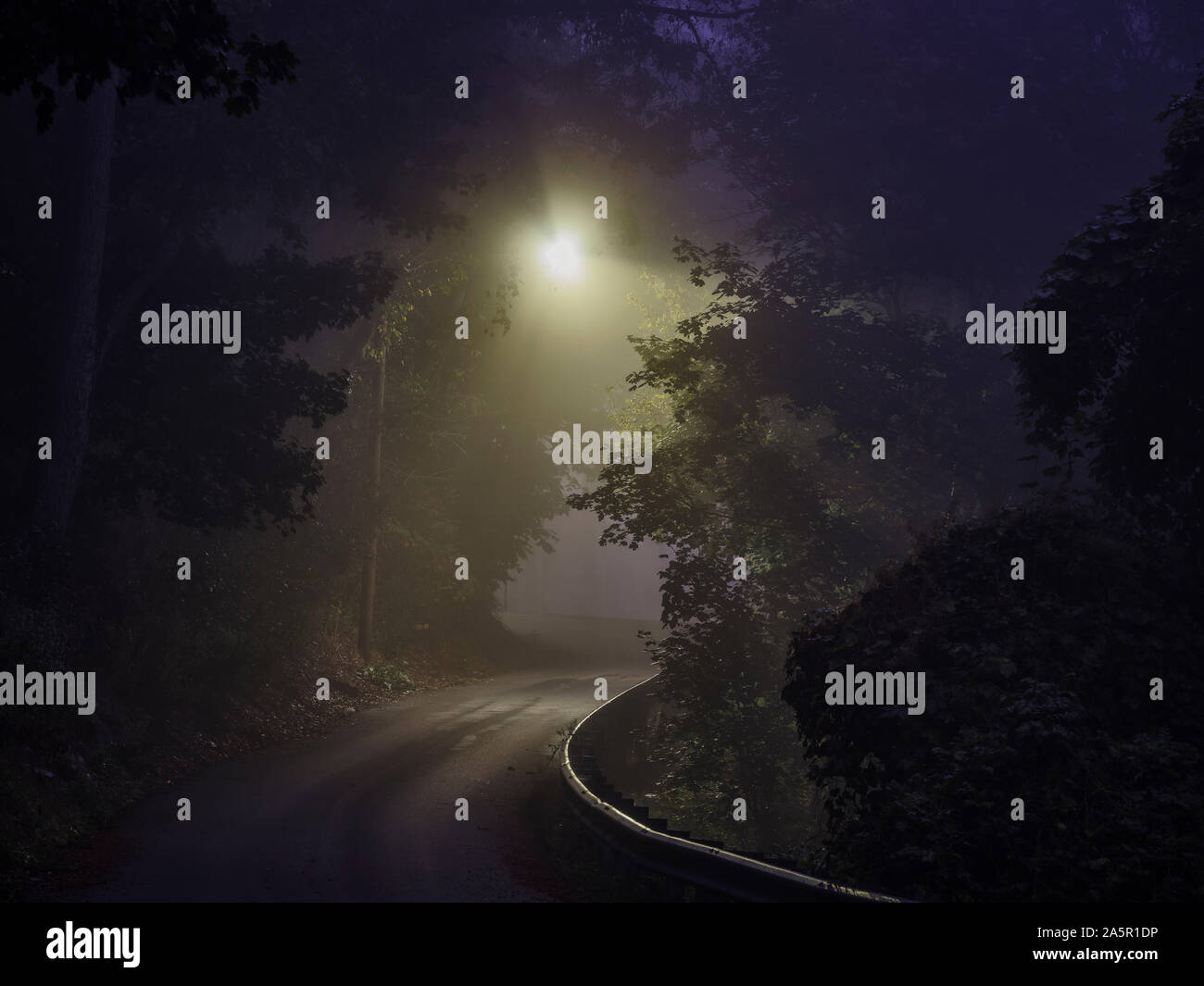 País por carretera curvada noche neblinosa Calle luz Foto de stock