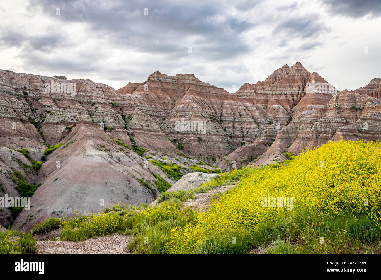 El Parque Nacional Badlands está localizado en el suroeste de Dakota del Sur, con casi 400 millas cuadradas de buttes y pináculos erosionados abruptamente, y la larg Foto de stock