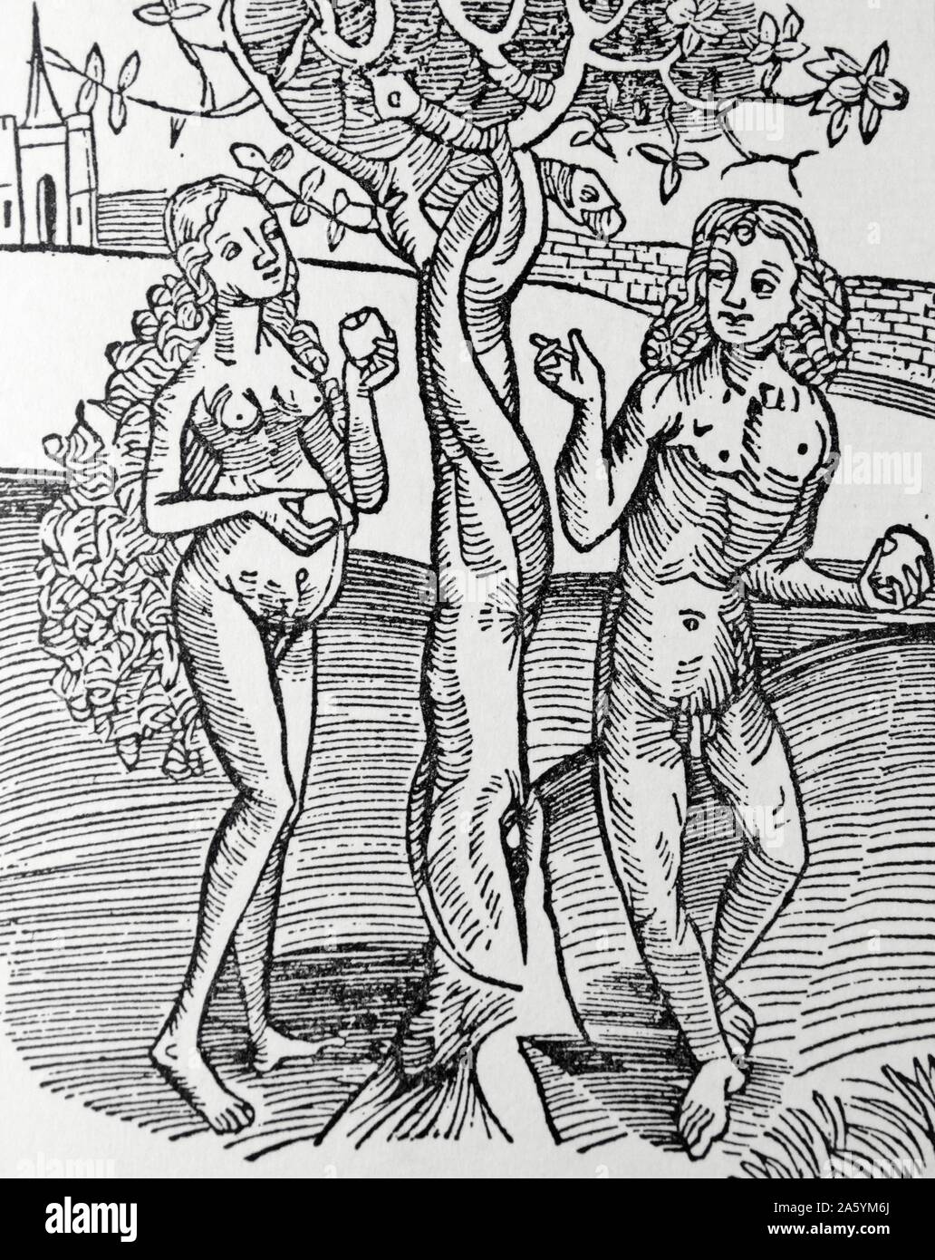 Adán y Eva tentados por la serpiente en el Jardín del Edén. Desde el año 1504, edición de 'Methodus Primum Olimpiade' Foto de stock