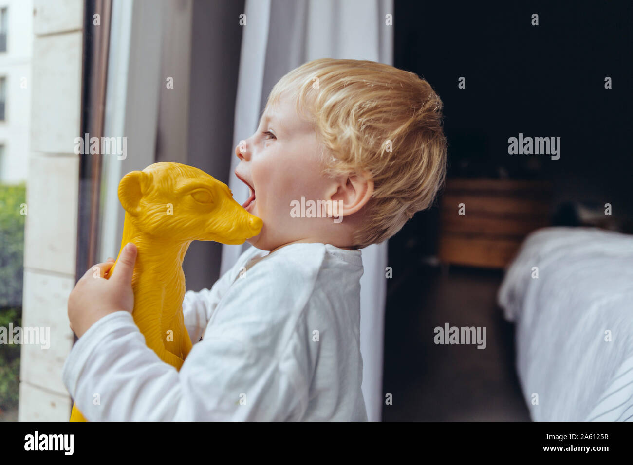 Niñito abrazando suricata o plastico, mirando por la ventana Foto de stock