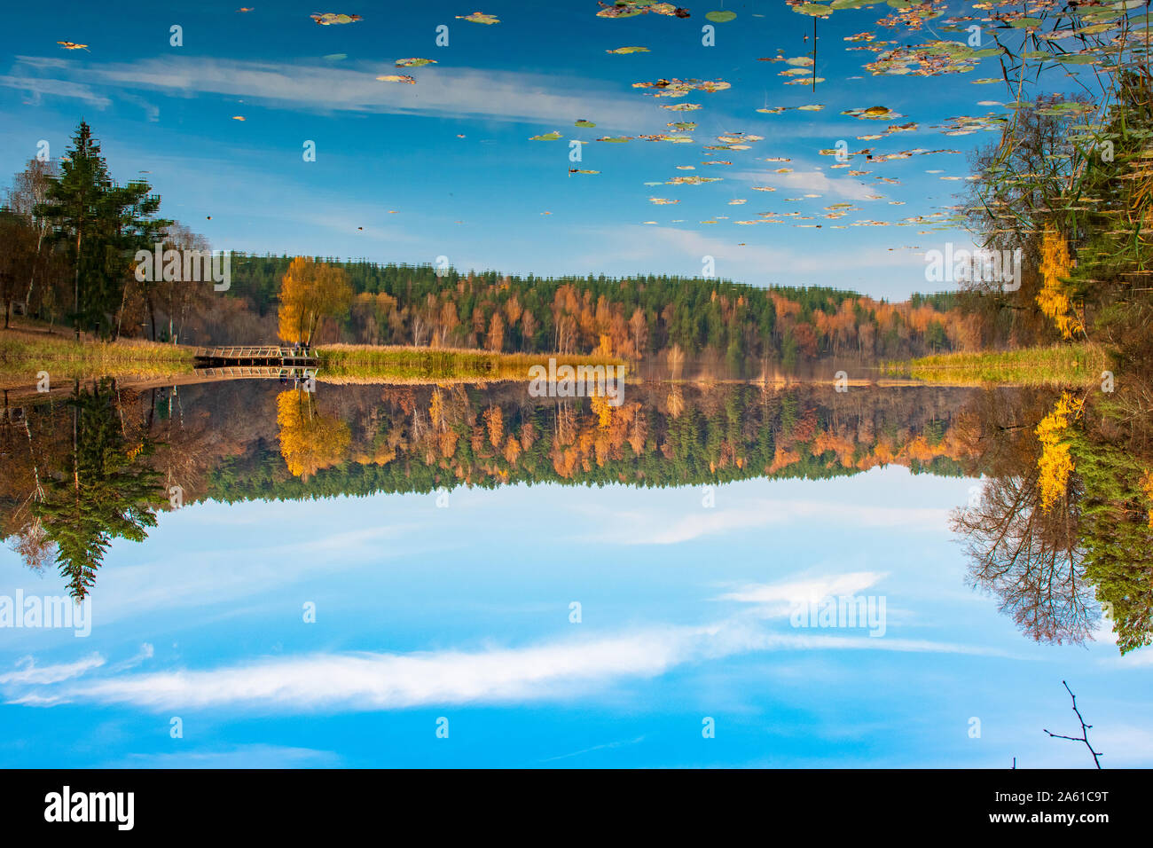 Reflexiones de otoño. Hermoso paisaje otoñal con lago y aguas tranquilas, bosque con el amarillo, el naranja y el verde de los árboles, Octubre, Noviembre antecedentes Foto de stock