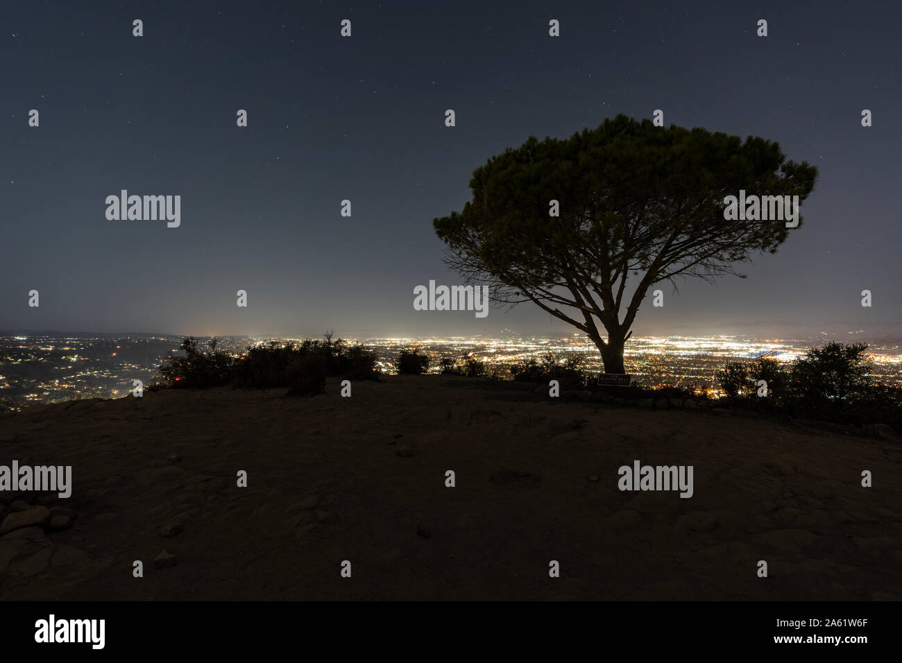 Vista de noche del árbol de la Sabiduría en Burbank Peak cerca de Griffith Park y Hollywood en Los Angeles, California. Foto de stock