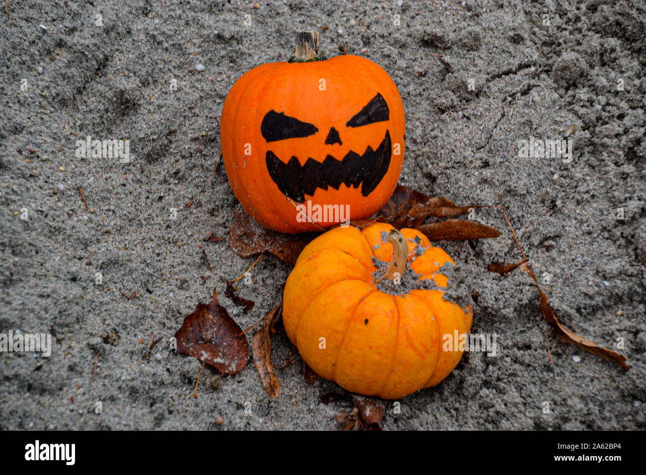 Calabazas de todo el mundo | Colecciones de calabaza | Halloween feliz | calabazas creepas | figuras de | Fotos | decoración de otoño Fotografía de stock - Alamy