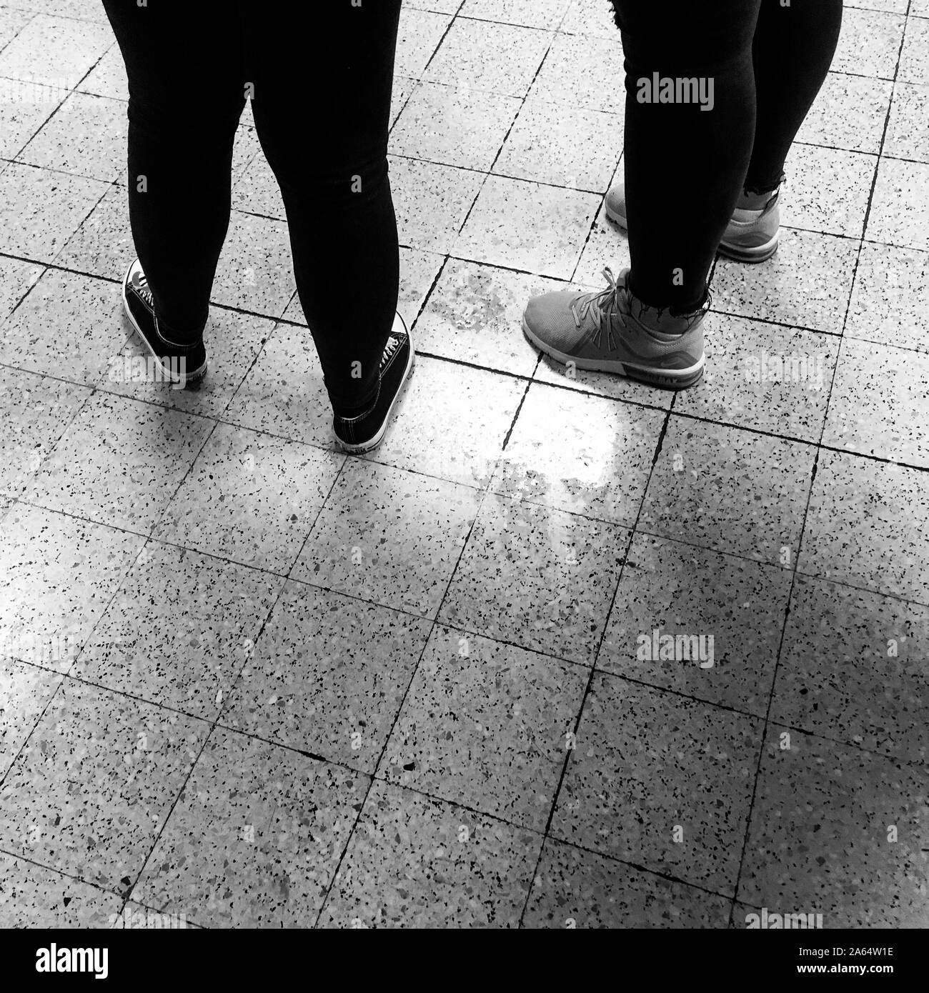 delta bolsagage requirements