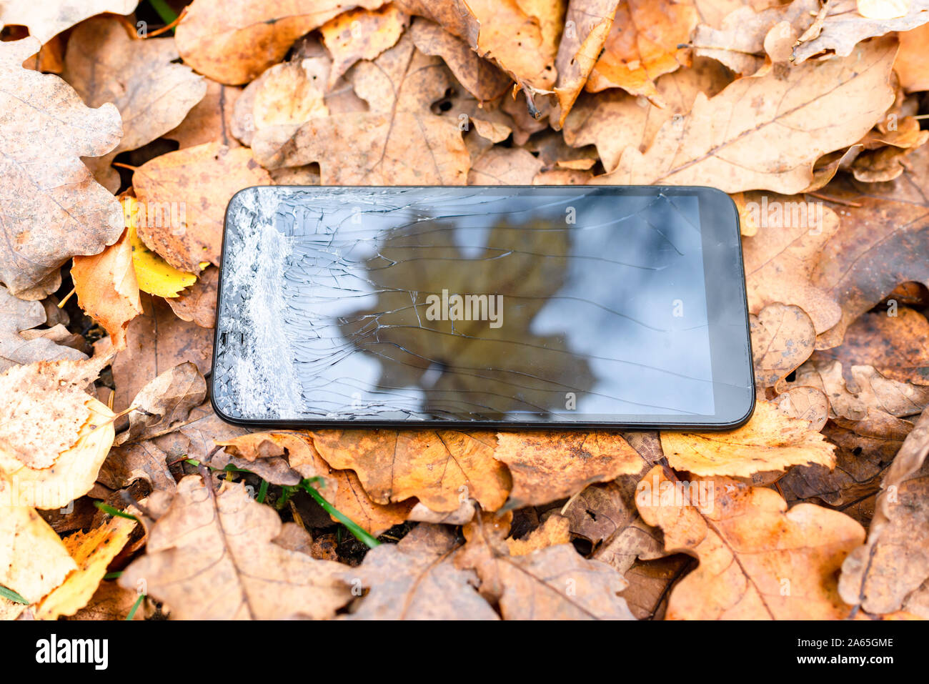 Broken teléfono táctil sobre un fondo de hojas de otoño sobre la hierba.silueta maple leaf, otoño de concepto. Foto de stock
