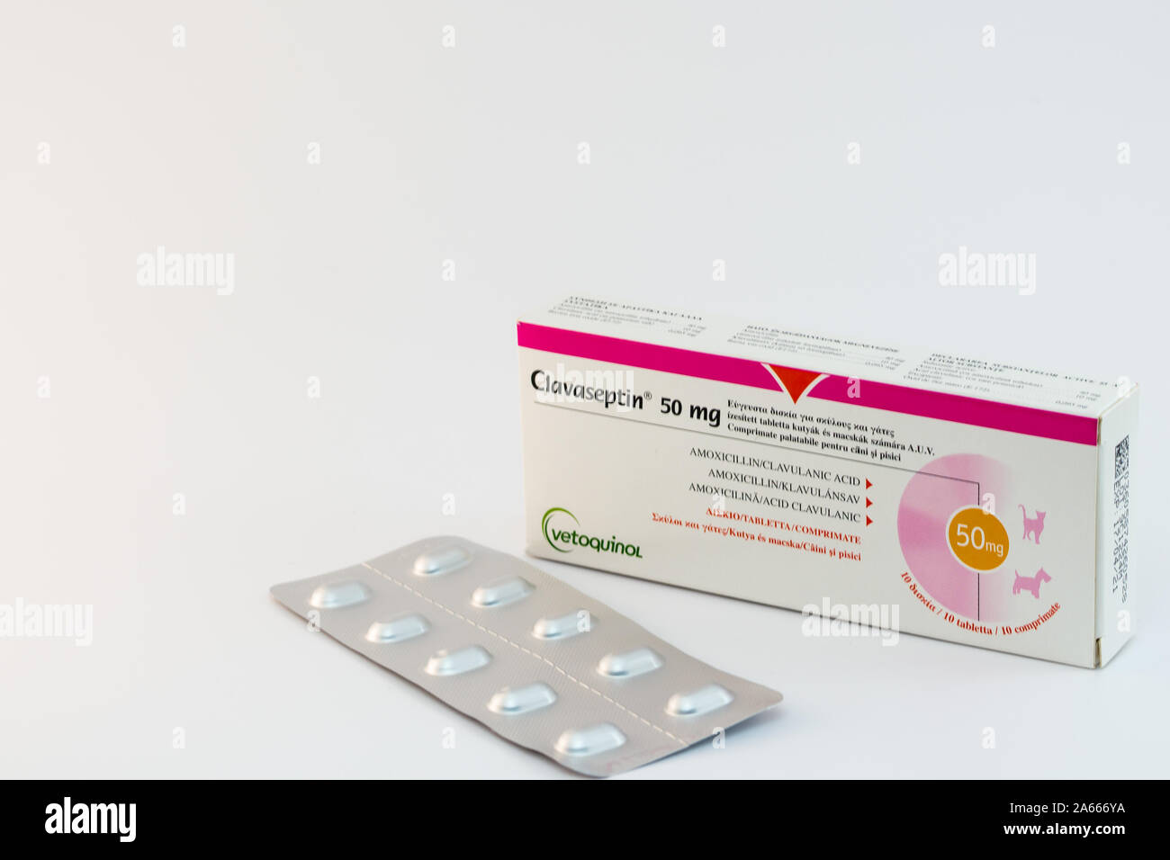 Cluj-Napoca/Rumania-10 2019: Clavaseptin 24 comprimidos para perros y gatos  producidos por Vetoquinol. Uso oral antibiótico Fotografía de stock - Alamy