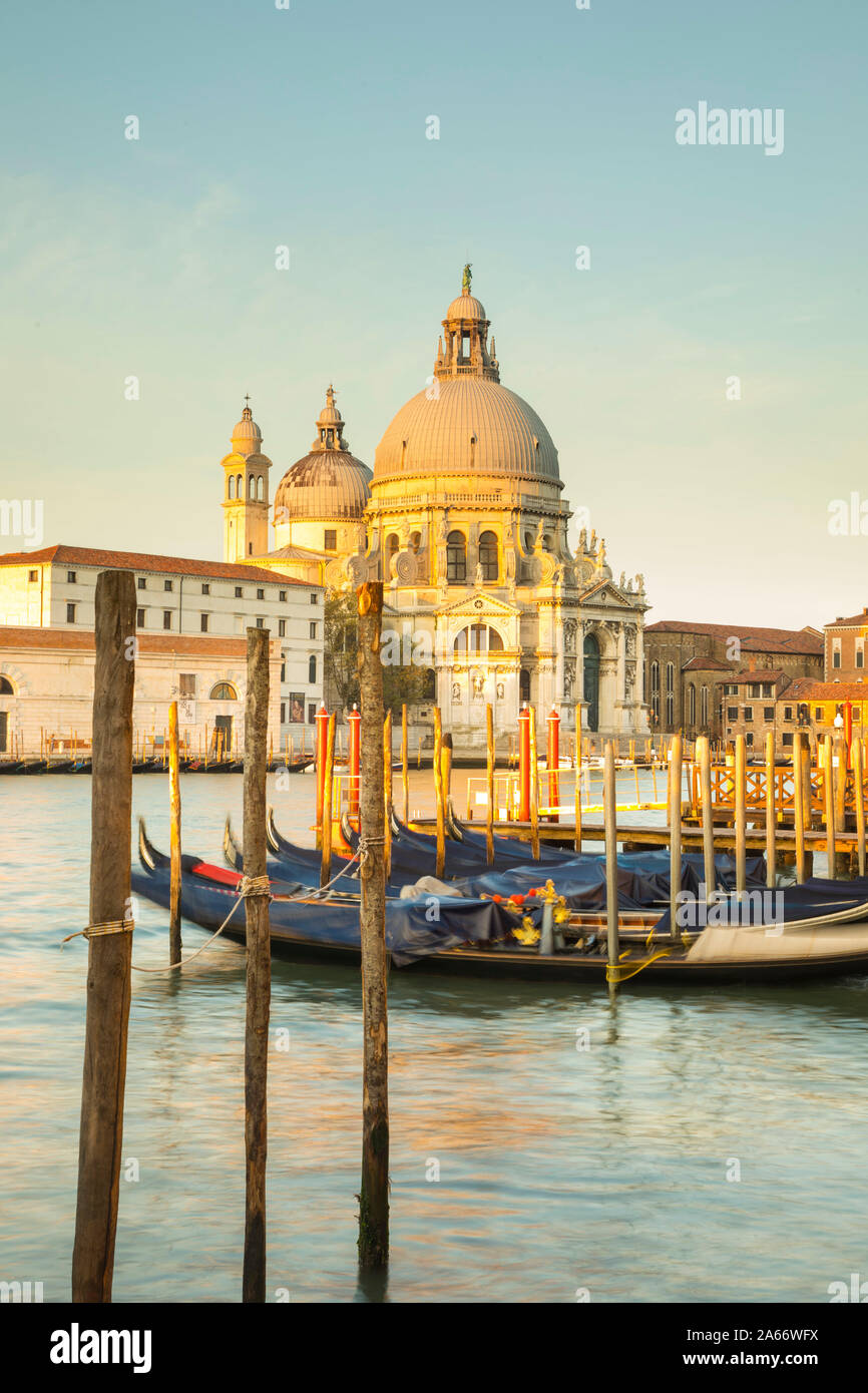 La Basílica di Santa Maria della Salute, el Gran Canal de Venecia, Véneto, Italia Foto de stock