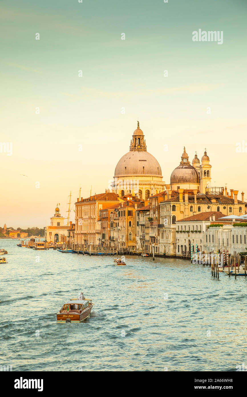 La Basílica di Santa Maria della Salute, el Gran Canal de Venecia, Véneto, Italia Foto de stock