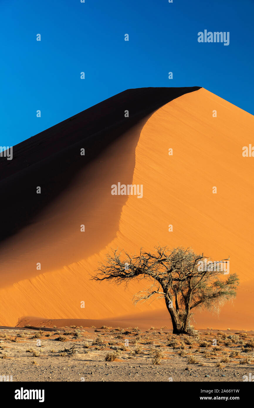 Una duna de arena, el Parque Nacional Namib-Naukluft Sesriem, Namibia Foto de stock