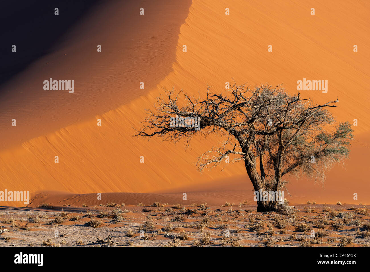 Una duna de arena, el Parque Nacional Namib-Naukluft Sesriem, Namibia Foto de stock