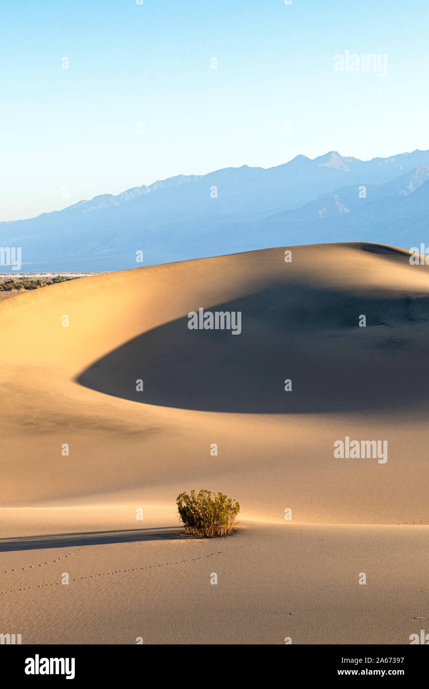 El Mesquite Flat Dunas de Arena, el Parque Nacional Valle de la Muerte, California, EE.UU. Foto de stock