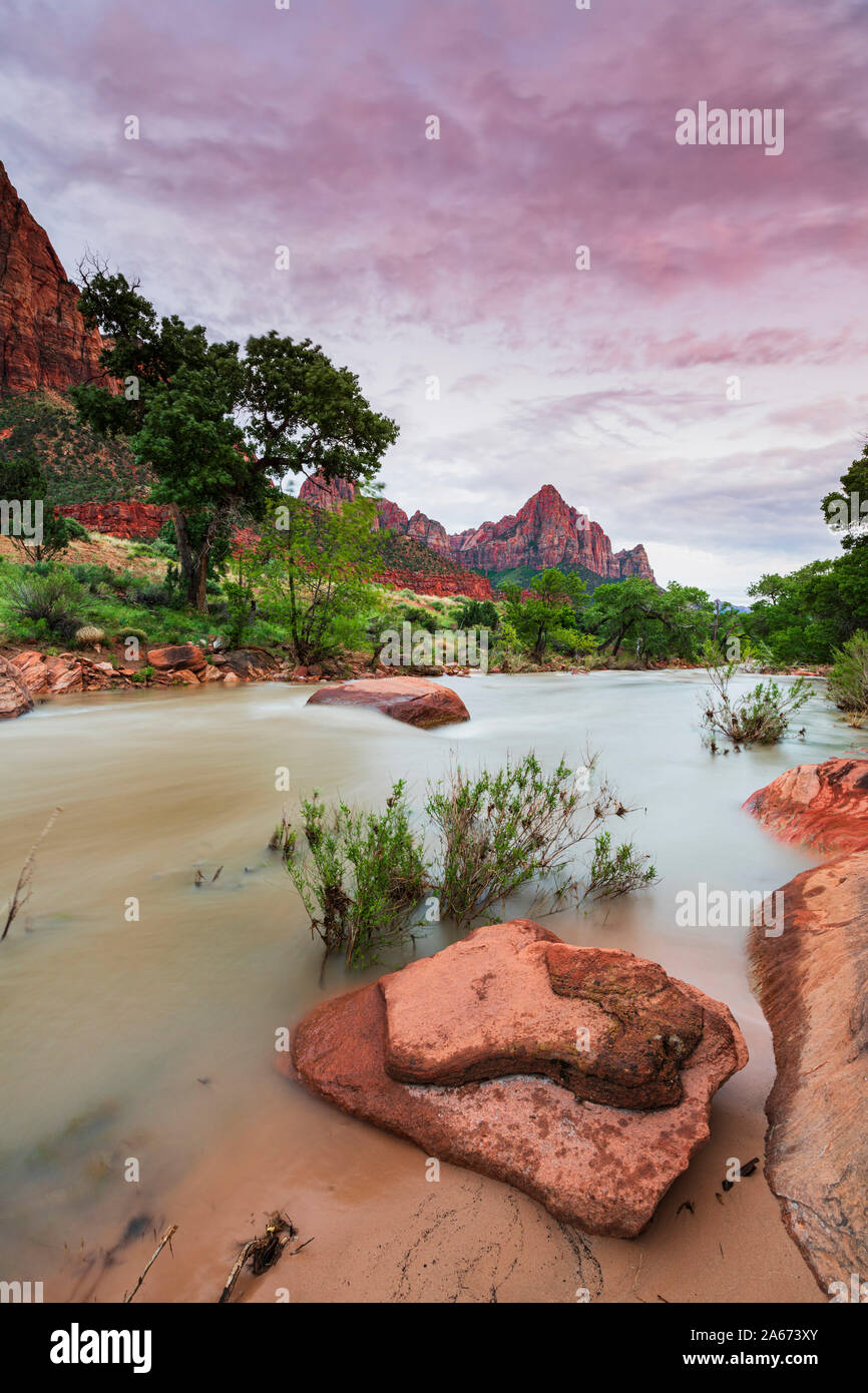 Virgin River y el vigilante, el Parque Nacional de Zion, Utah, EE.UU., América del Norte Foto de stock