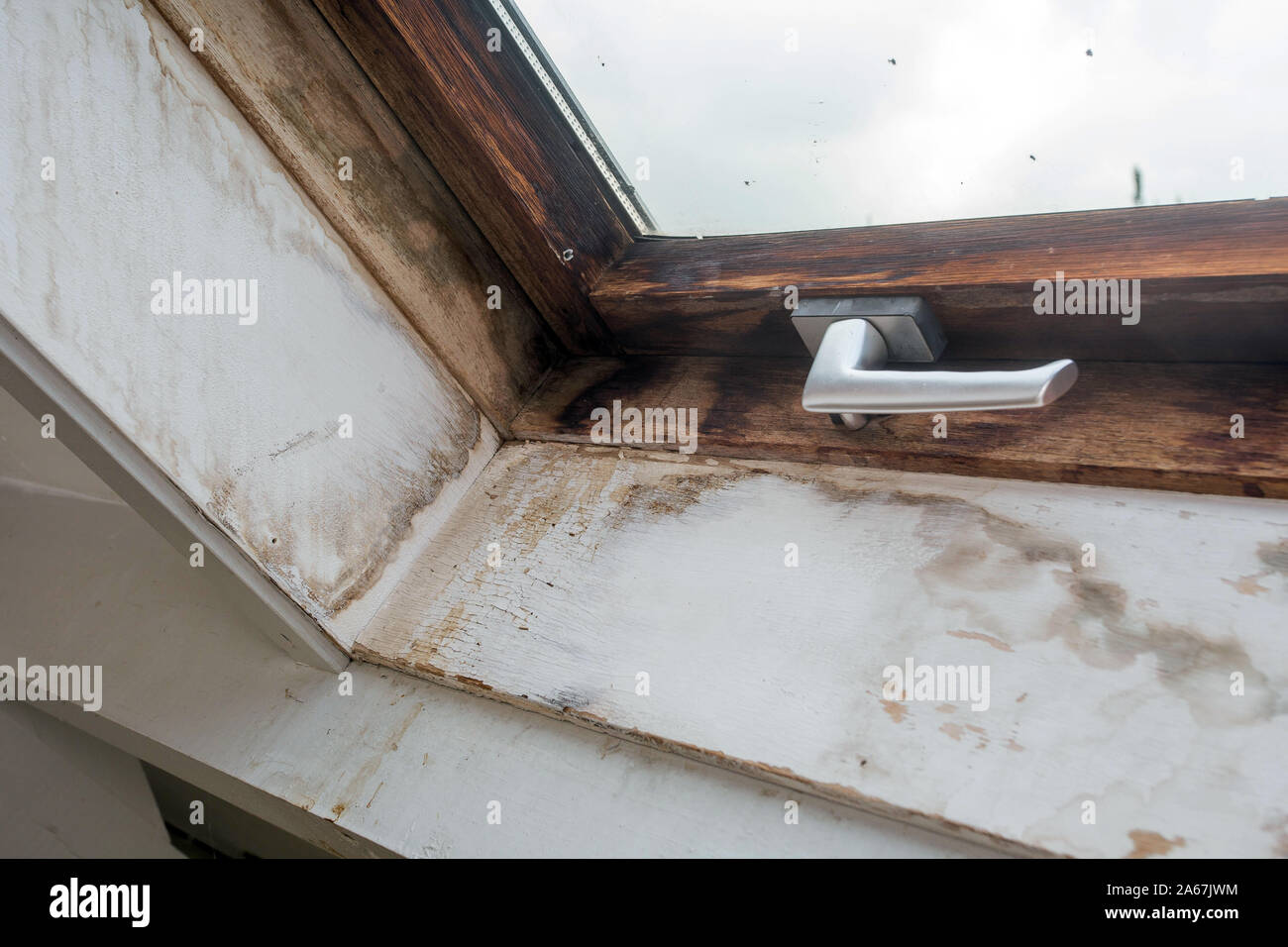 Marco de ventana de madera antigua con molde sucios y rotos en el interior de una casa antigua, necesidades de renovación Foto de stock