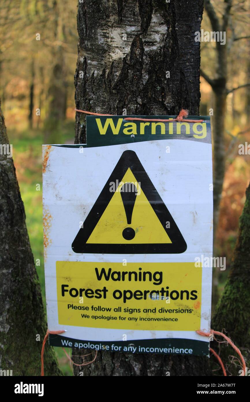 Señal de advertencia para los bosques y la tala de árboles forestales y  bosques y las operaciones forestales y la gestión desde Finsthwaite, Presa  Alta, Lake District inglés Fotografía de stock -