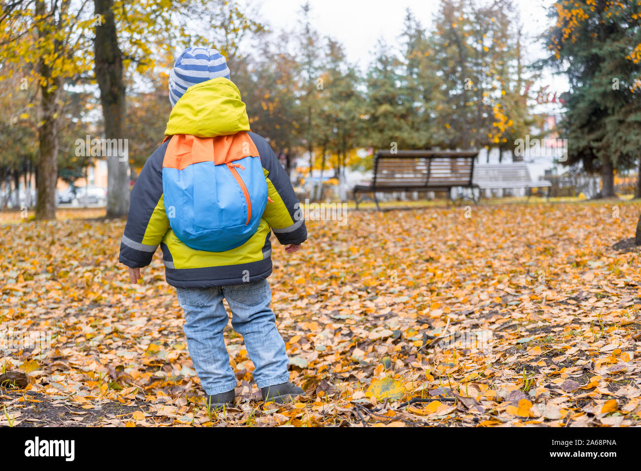 Niño desde atrás con coloridos mochila infantil en City Park en otoño mira  las hojas caídas Fotografía de stock - Alamy