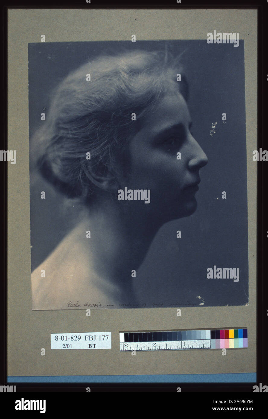 Mujer joven, mirando hacia la derecha, de cabeza y hombros retrato de perfil Foto de stock