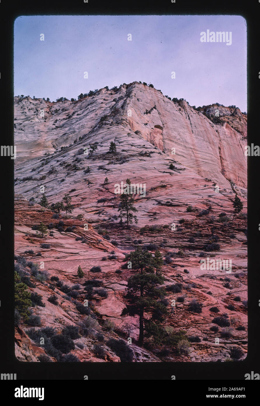 Parque Nacional de Zion, Springdale, Utah Foto de stock