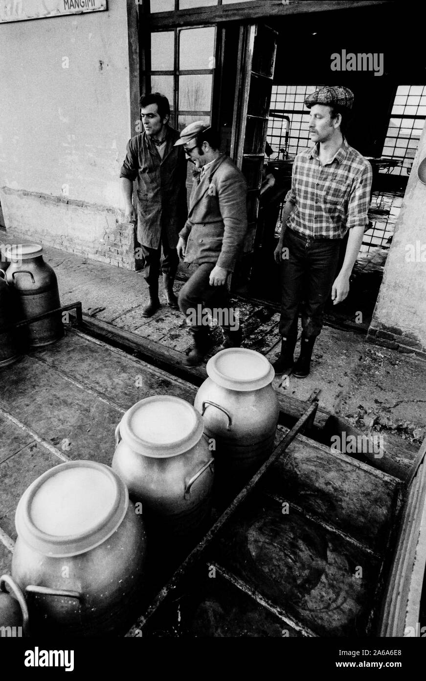 La recogida de la leche en Mantua, Italia, 60s Foto de stock
