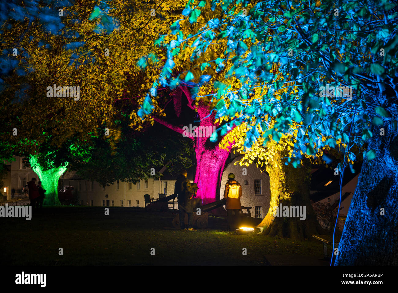 Los árboles iluminados en el Festival de la luz Kirkcudbright, Dumfries y Galloway, Escocia Foto de stock