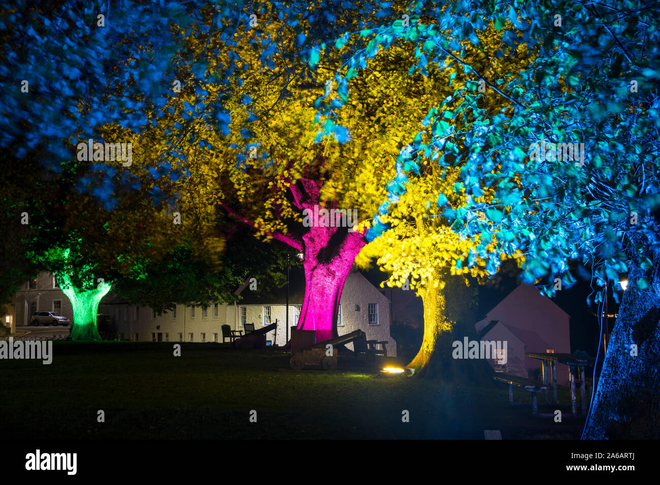 Los árboles iluminados en el Festival de la luz Kirkcudbright, Dumfries y Galloway, Escocia Foto de stock