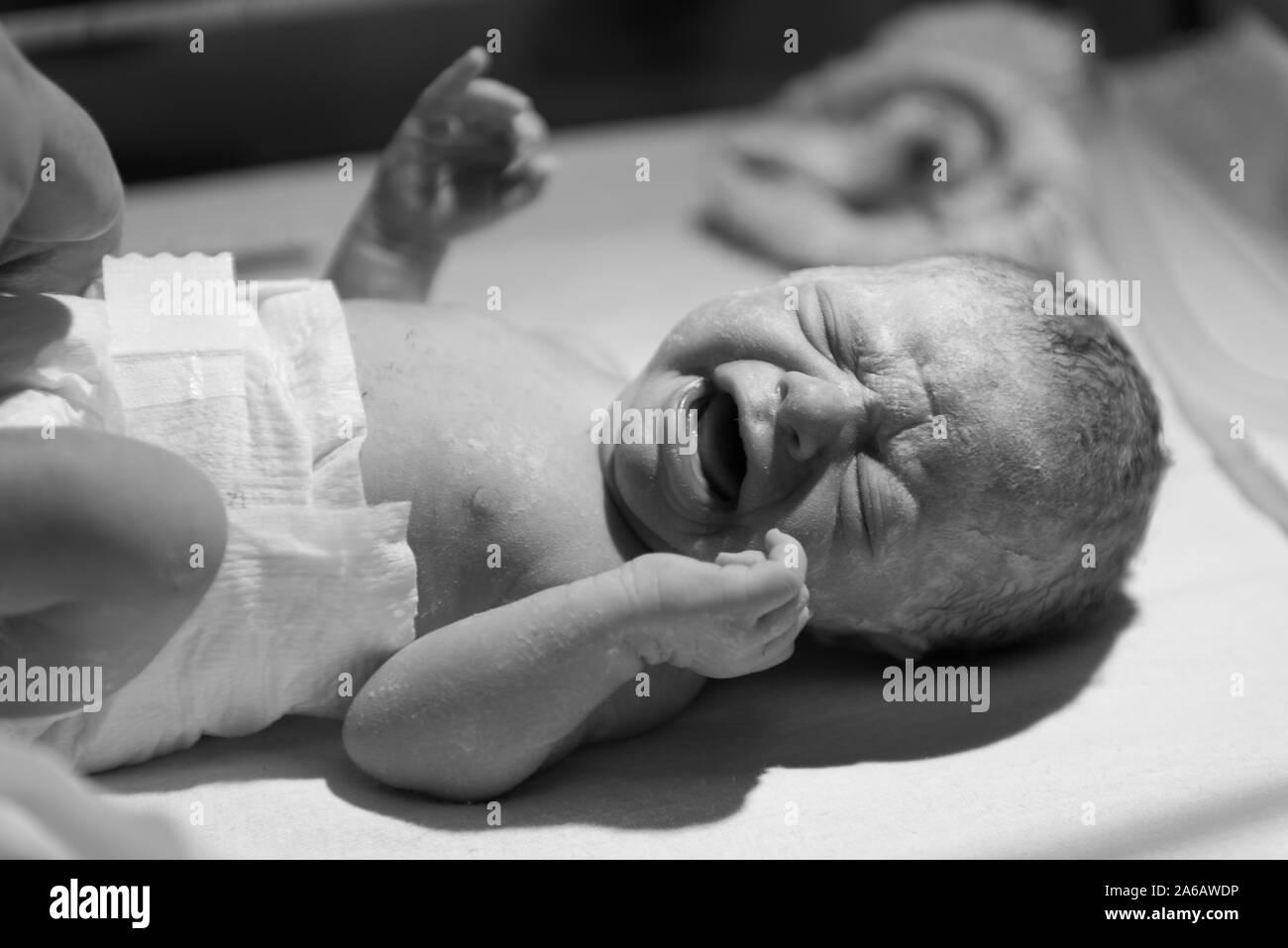Una joven muchacha del bebé prematuro nace con un peso de sólo 4kg, retratada aquí a menos de 5 minutos de antigüedad Foto de stock
