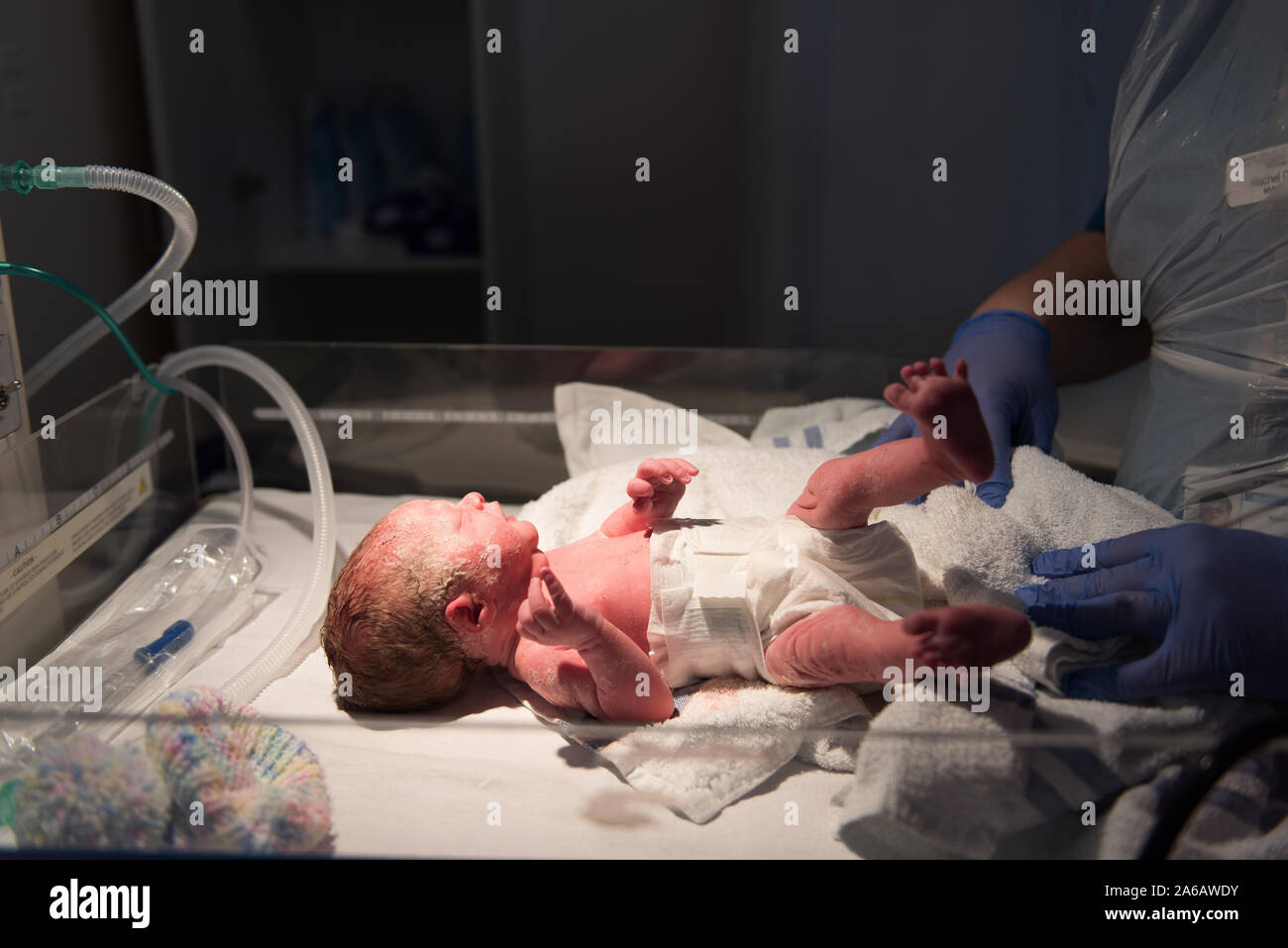 Una joven muchacha del bebé prematuro nace con un peso de sólo 4kg, retratada aquí a menos de 5 minutos de antigüedad, maternidad, NHS, North Staffordshire hospital Foto de stock