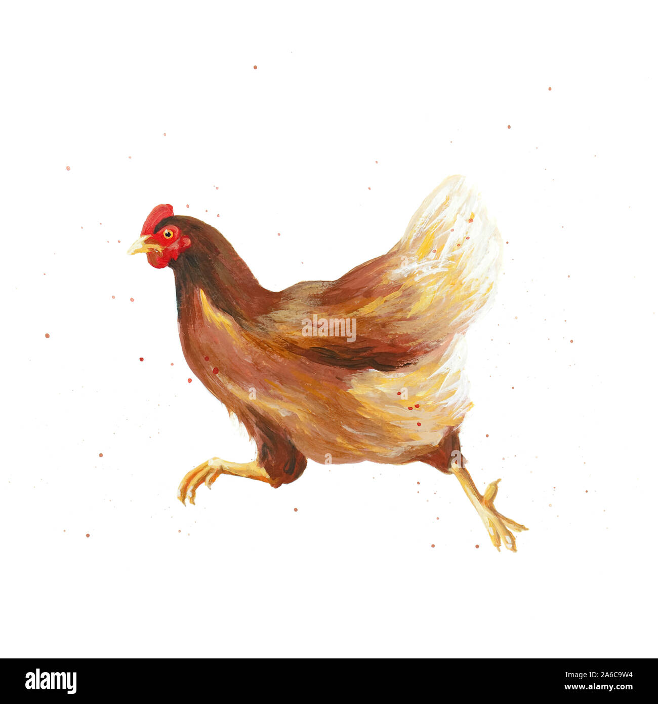 Gallina gallina corriendo Imágenes recortadas de stock Alamy