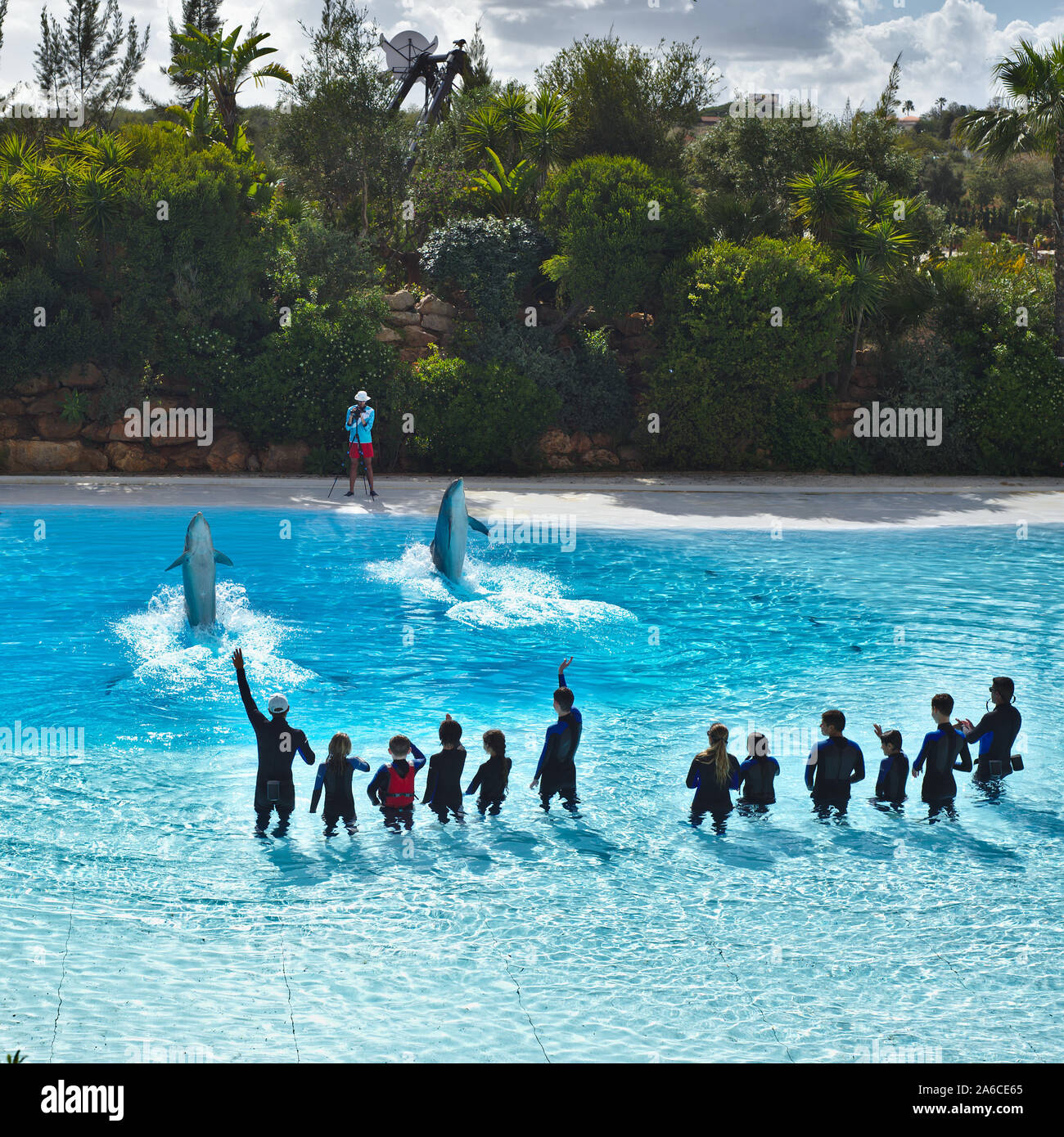 ZooMarine parque temático acuático. Los visitantes participan en las  emociones de delfines nadar con delfines experiencia. Algarve Portugal  Fotografía de stock - Alamy