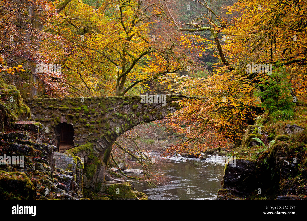 Ermita, bosque y río Braan Craigvinean en otoño, Dunkeld, Perth y Kinross, Escocia, Reino Unido Foto de stock