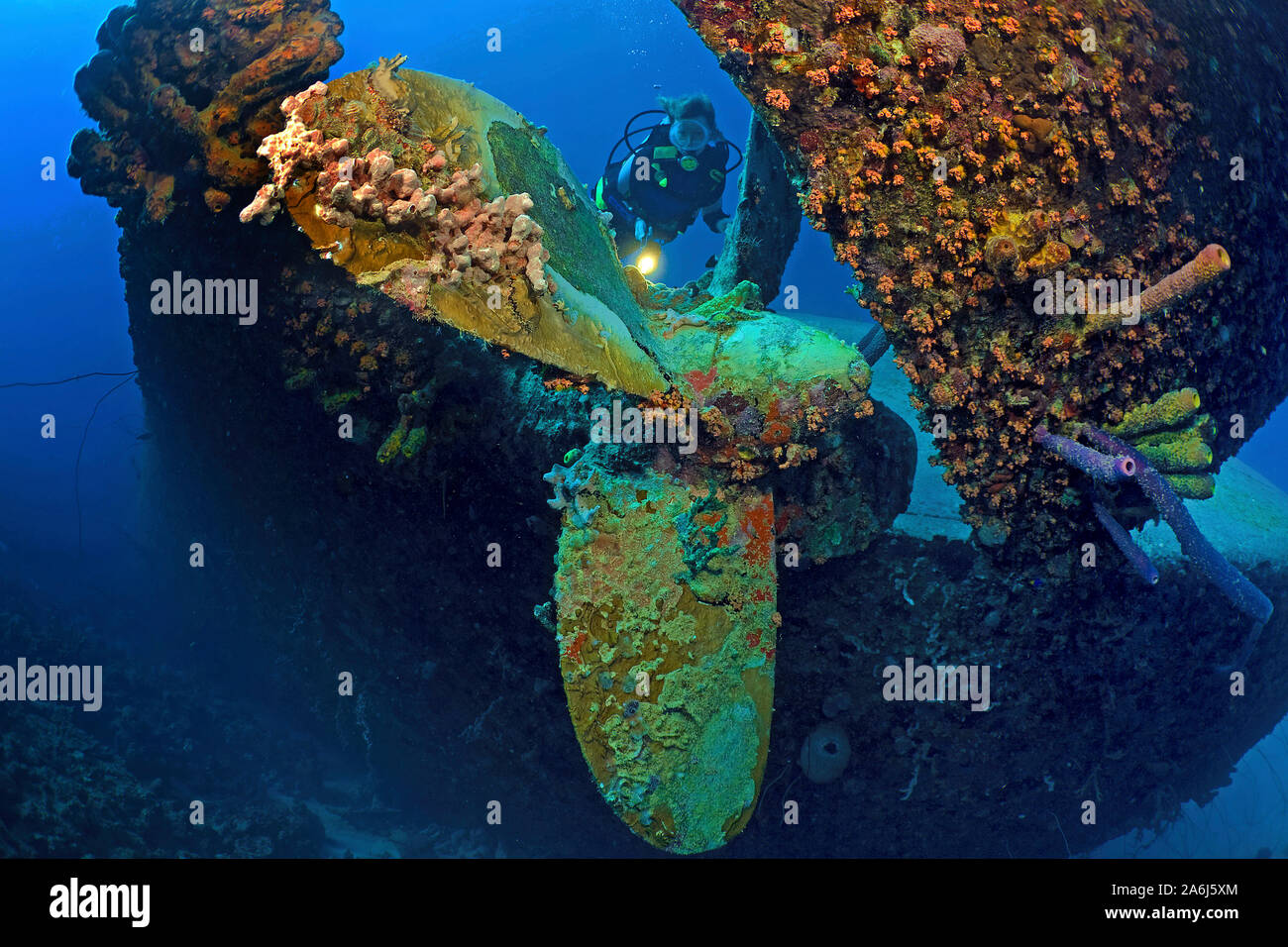Scuba Diver a la hélice del naufragio sobredimensionado "Hilma Hooker', Bonaire, Antillas Holandesas Foto de stock