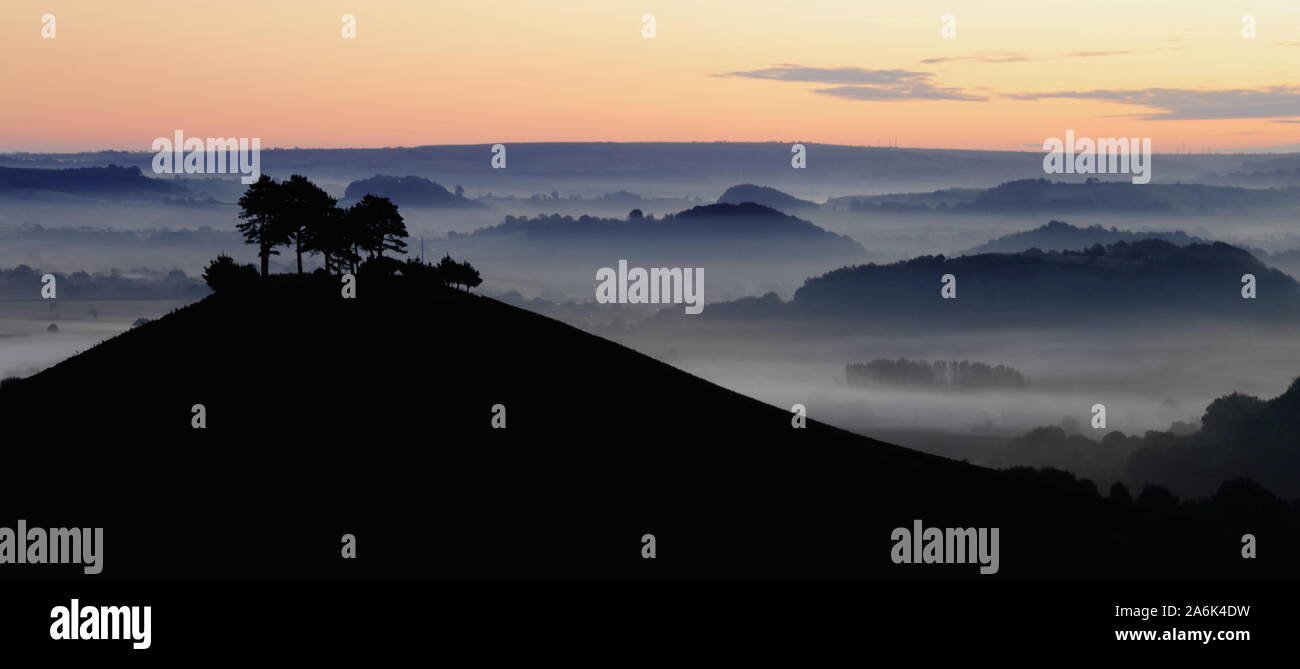 Misty mañana sobre Colmer's Hill en West Dorset Foto de stock