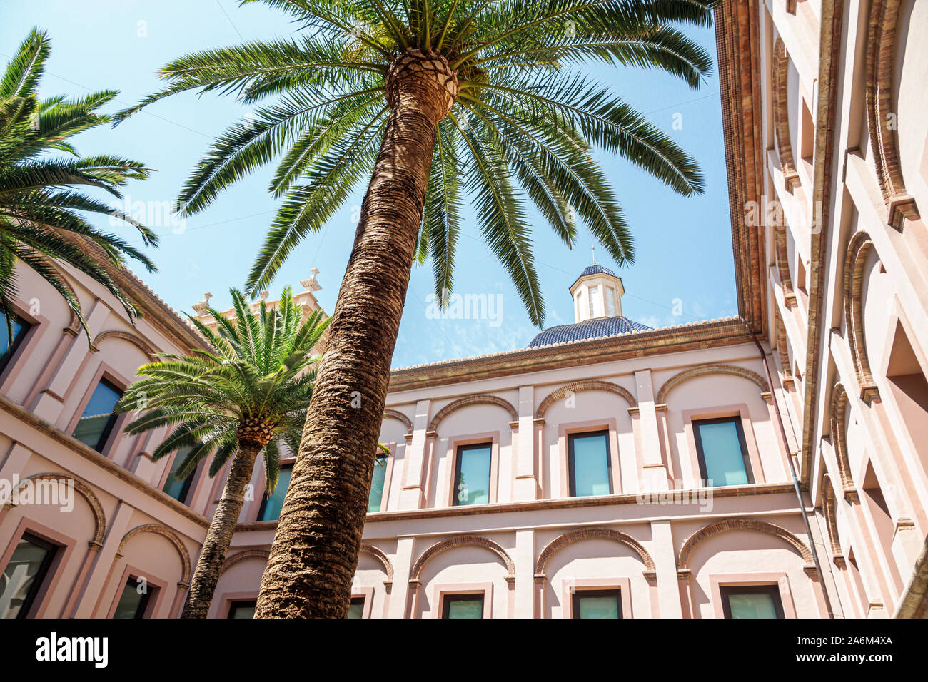 Valencia ESPAÑA Hispanic,Trinitat,Museu de Bellas Artes,Museo de Bellas Artes,Museo de Bellas Artes,patio interior,palmeras,ES190829048 Foto de stock