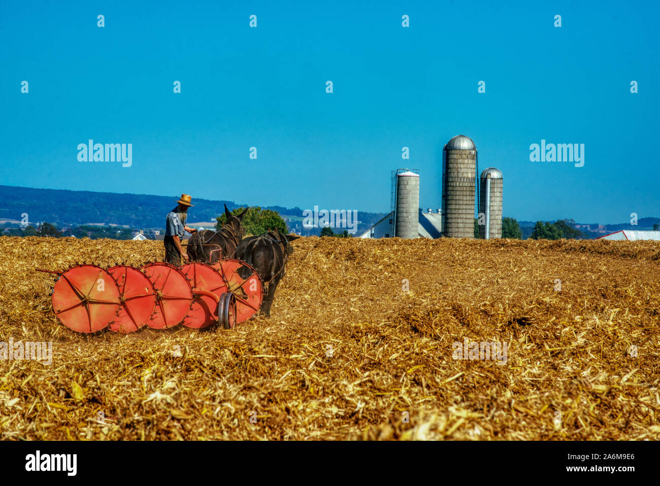 Los agricultores cosechar heno Amish del condado de Lancaster, Pennsylvania. Foto de stock