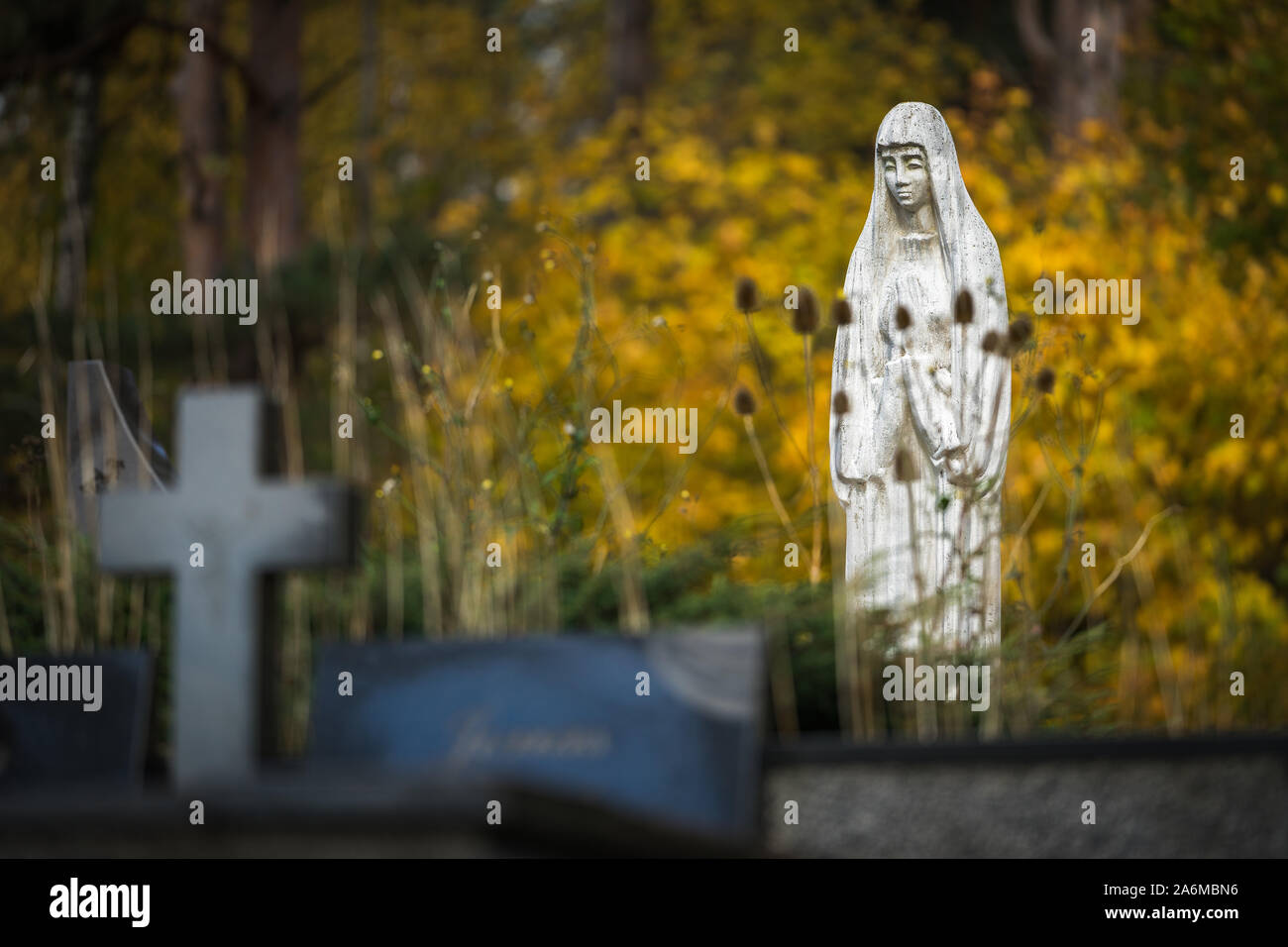 Vista del cementerio lituano en otoño. Escultura de piedra blanca de luto de María - lápida y cruce entre flores y árboles de flores amarillas Foto de stock