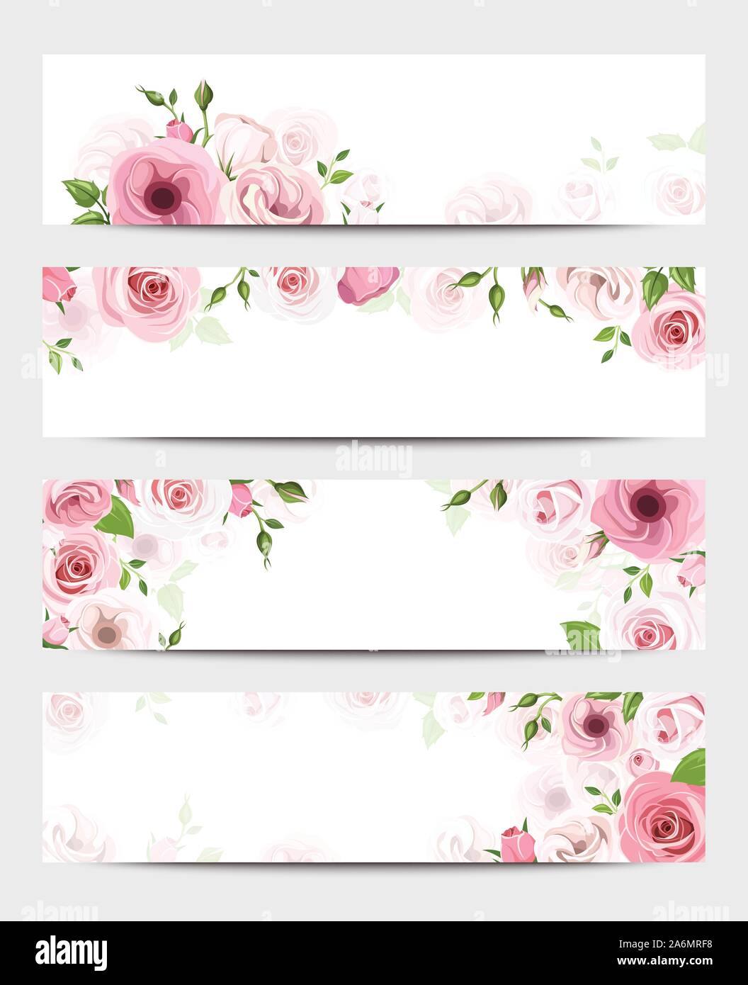 Conjunto de cuatro vectores banners web con rosas rosas y flores de lisianthus. Ilustración del Vector
