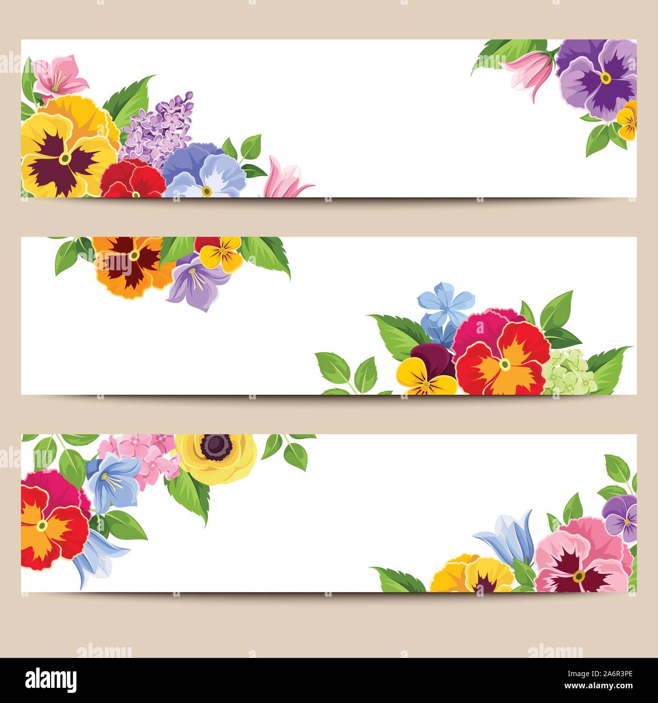 Conjunto de tres vectores banners web con coloridos, lila y harebell - flores flores. Ilustración del Vector