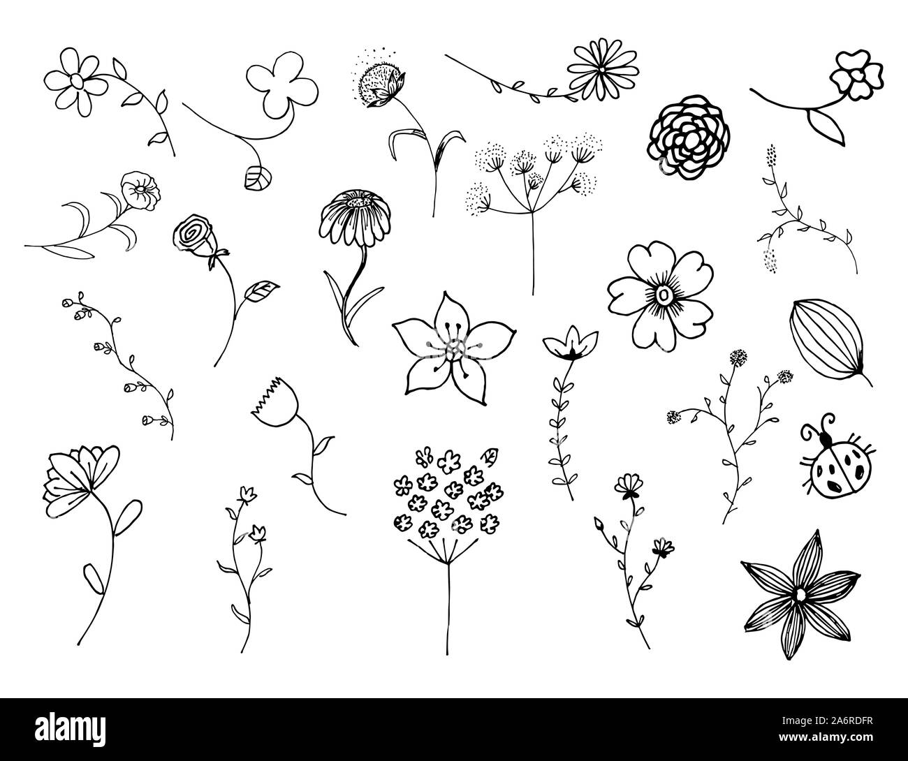 Dibujadas a mano elementos florales ilustraciones vectoriales y establecer Ilustración del Vector