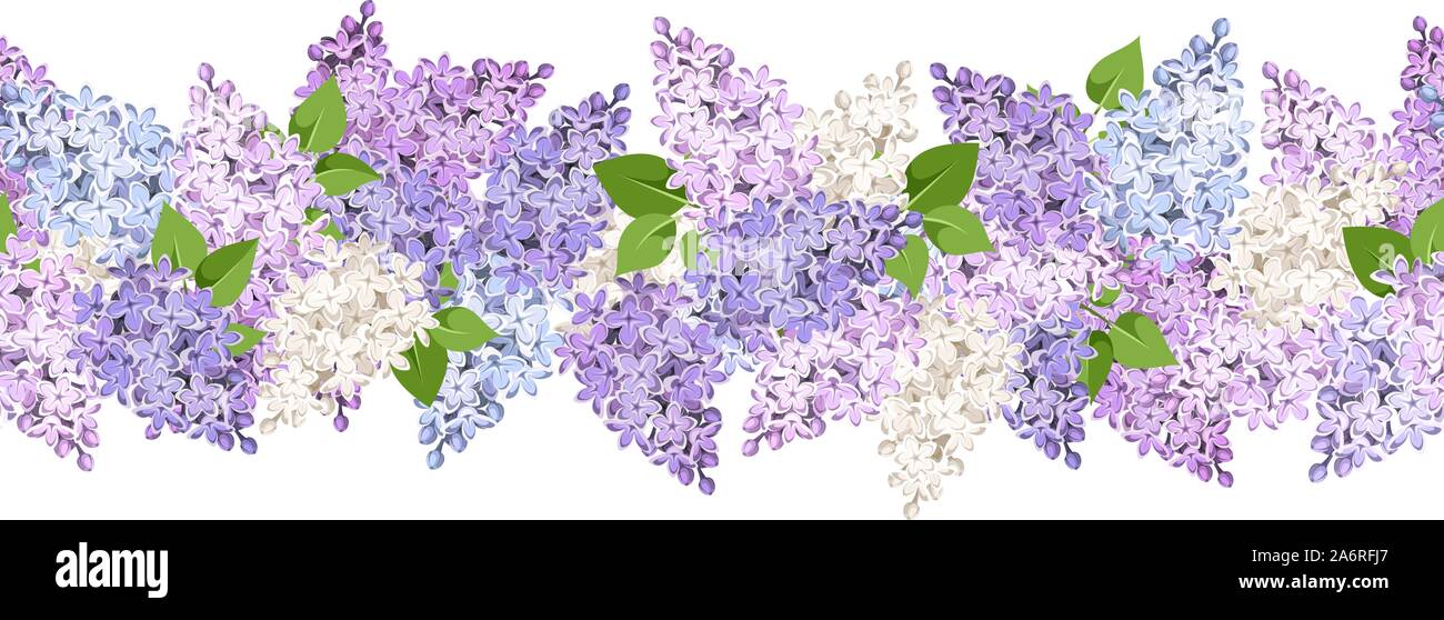 Vector de fondo sin fisuras horizontales con flores de color lila. Ilustración del Vector