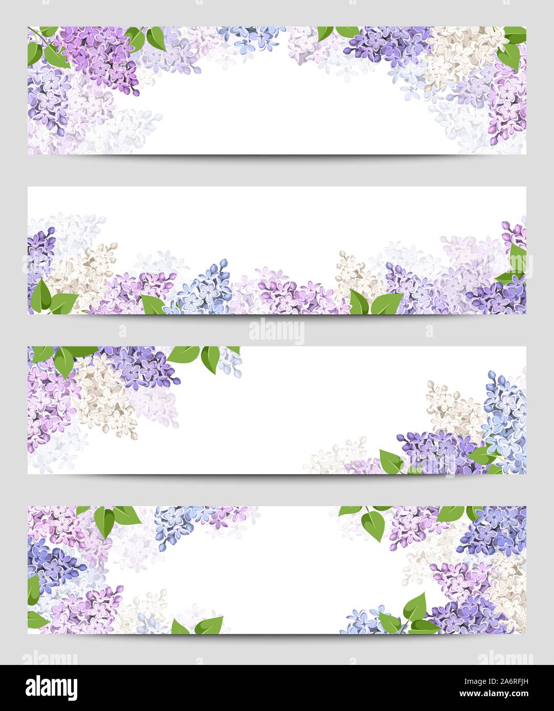 Vector banners web con morado, rosa, azul y blanco de flores de color lila. Ilustración del Vector