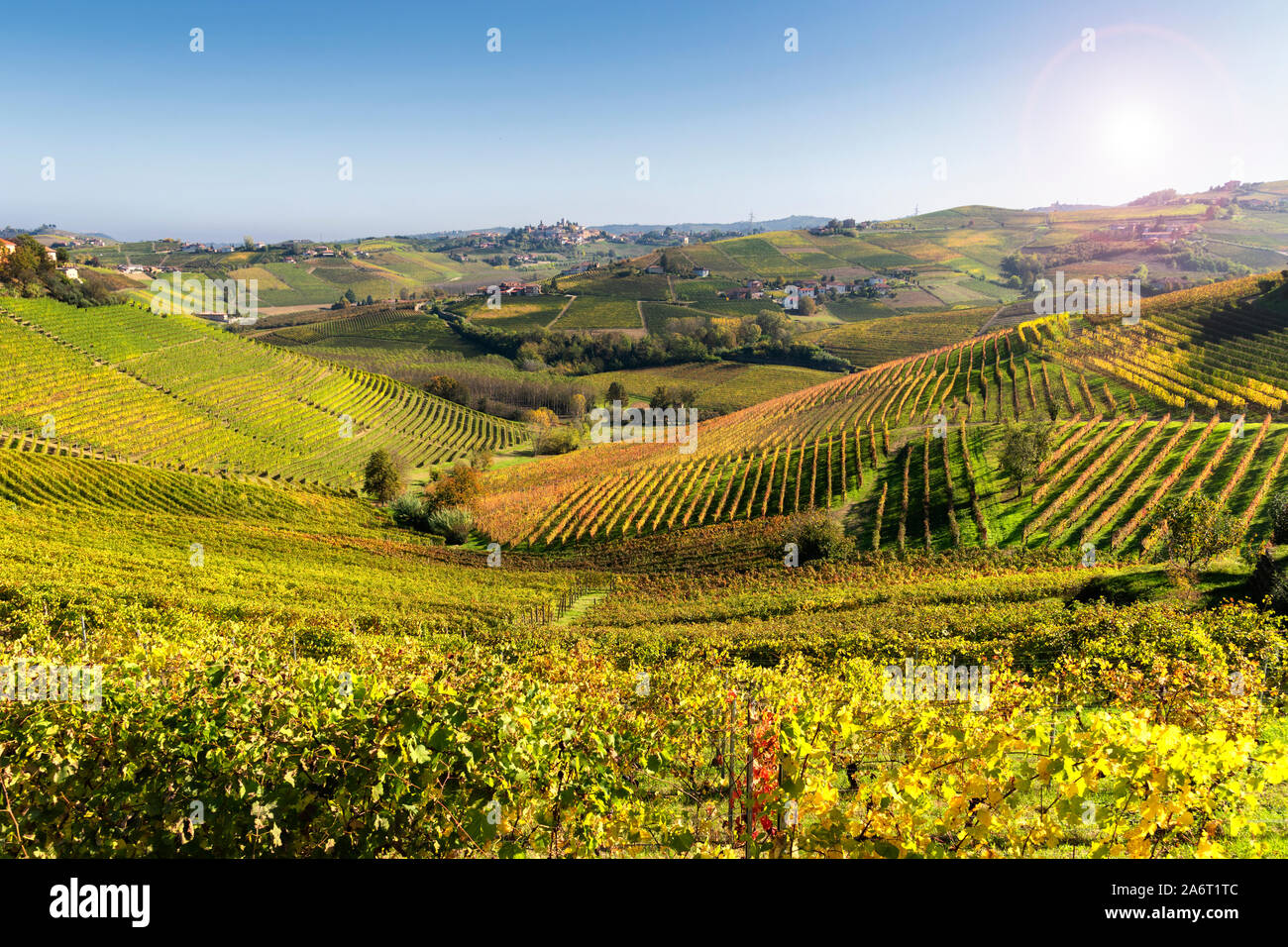 Viñedos Langhe de Barbaresco en otoño, Piamonte, Italia. Foto de stock