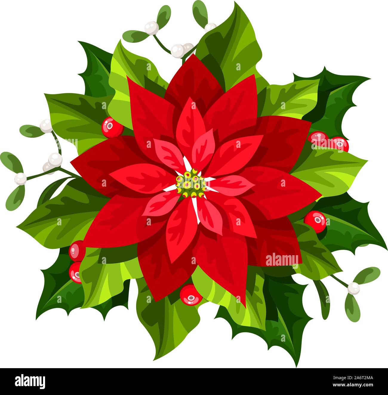 Navidad roja Vector poinsettia flor aislado sobre un fondo blanco. Ilustración del Vector