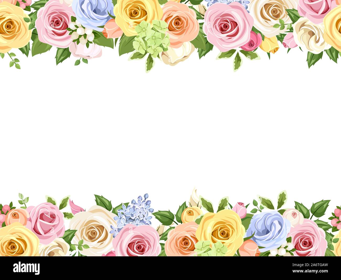 Vector horizontal perfecta con fondo rosa, azul, blanco, naranja y amarillo, rosas y flores de lisianthus. Ilustración del Vector